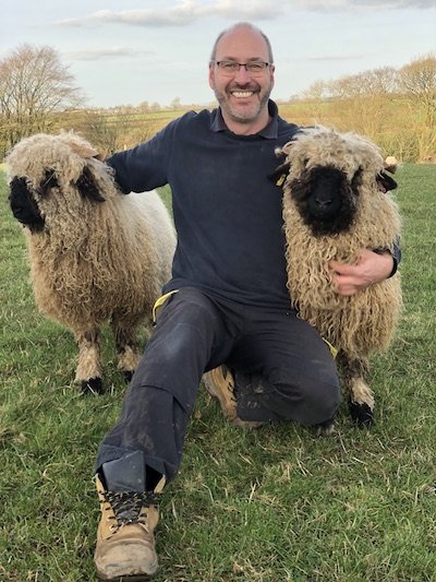 Swiss Valais Sheep Devon with Erik