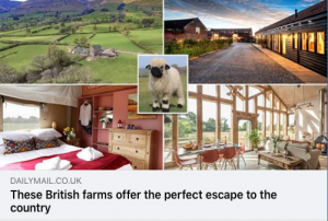 Escape to the Country